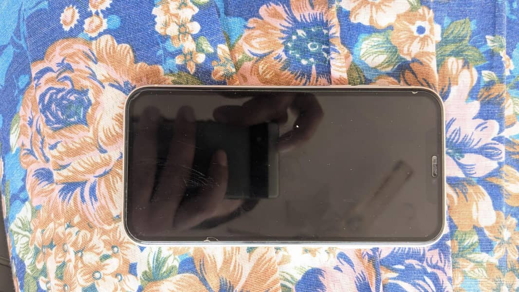 Apple iPhone 11 0