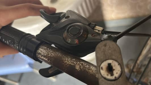 Japan cycle