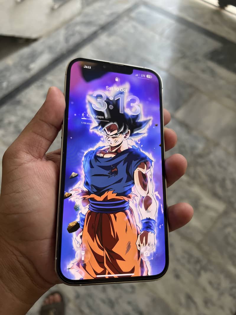 Apple iPhone 13 Pro Max 0