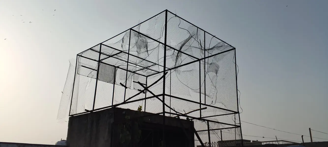 pigeon cage — photo 3