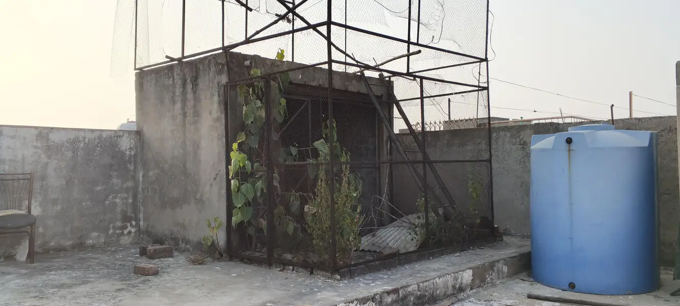 pigeon cage — photo 4