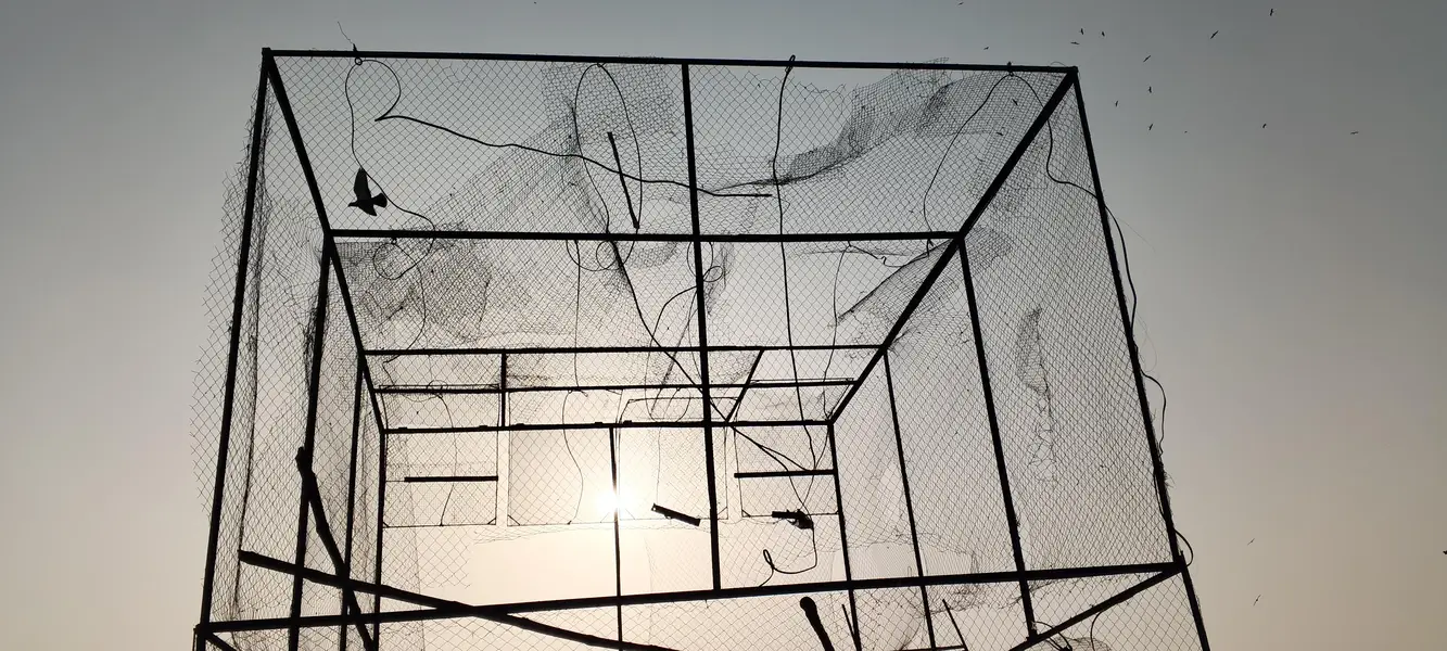 pigeon cage — photo 6