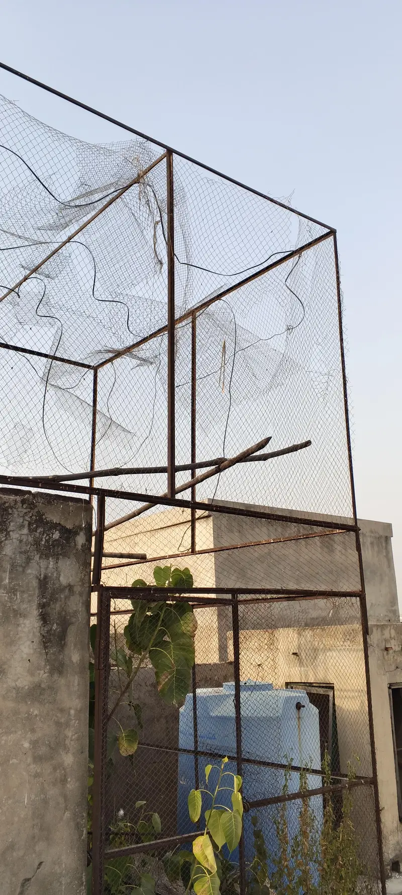 pigeon cage — photo 8