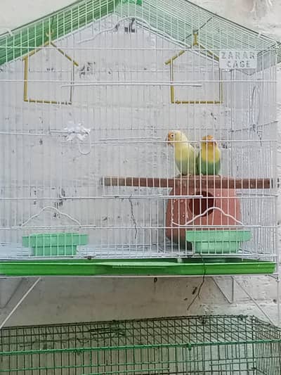 urgent sale krna h