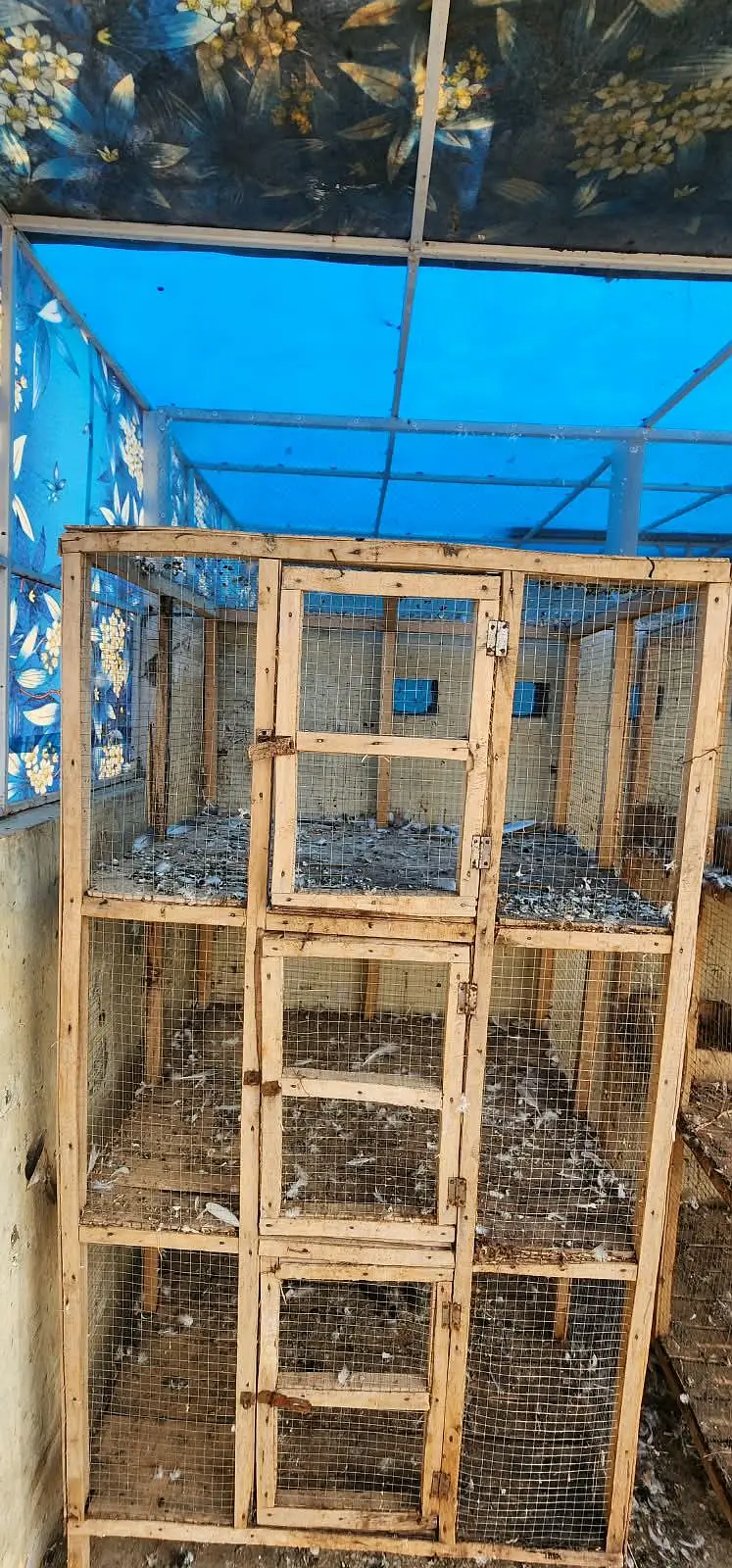 wooden cages — photo 2