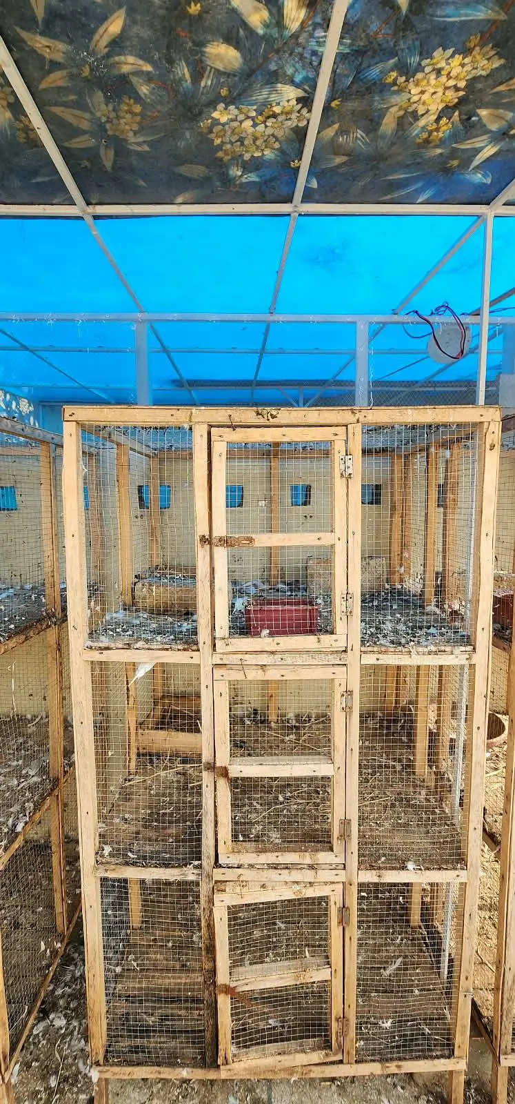wooden cages — photo 3
