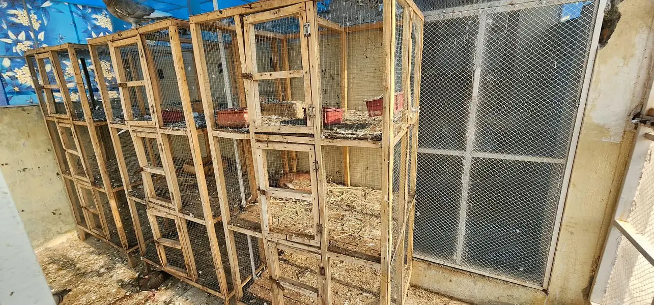 wooden cages — photo 4