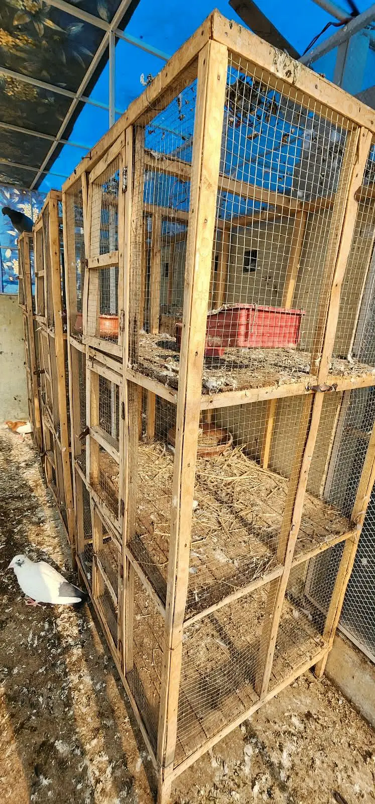 wooden cages — photo 5