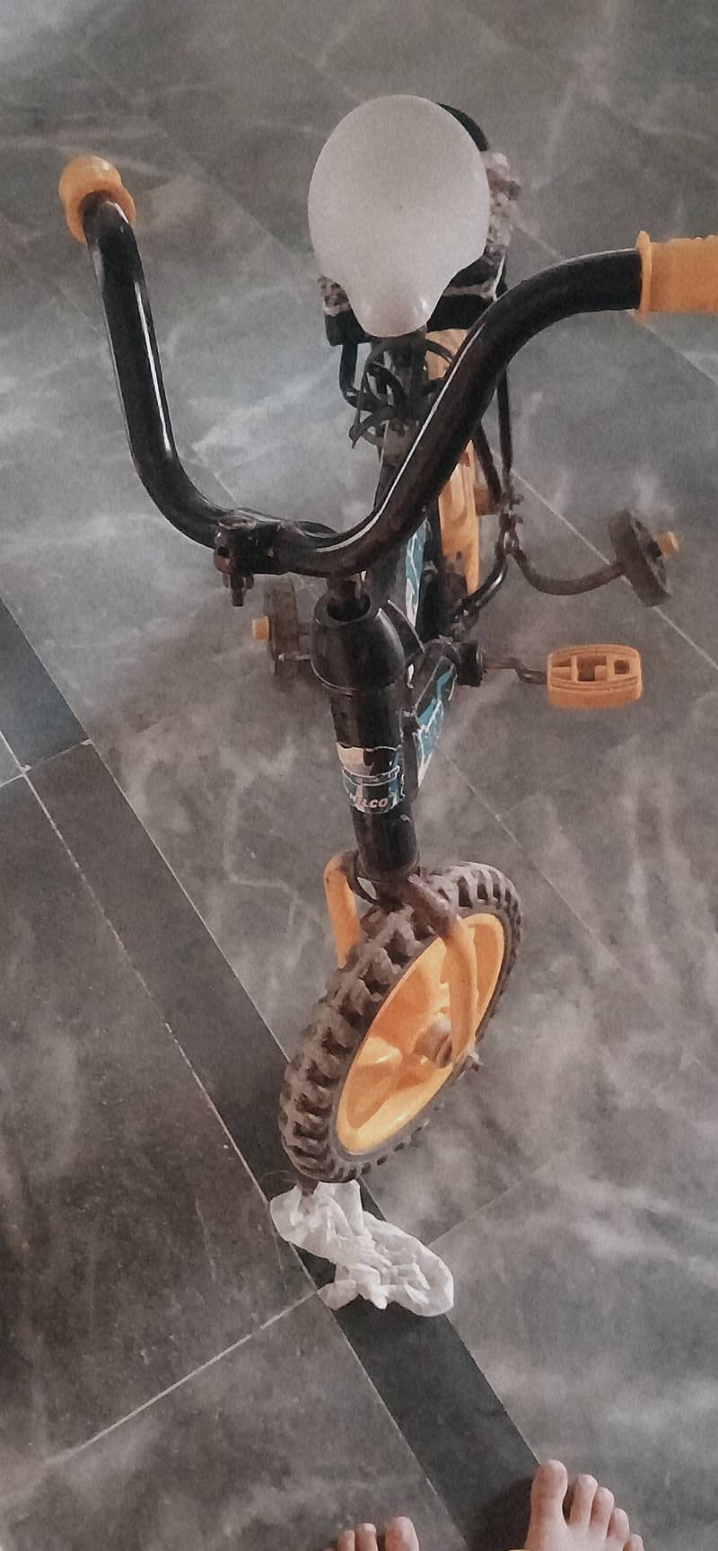 cycle 6