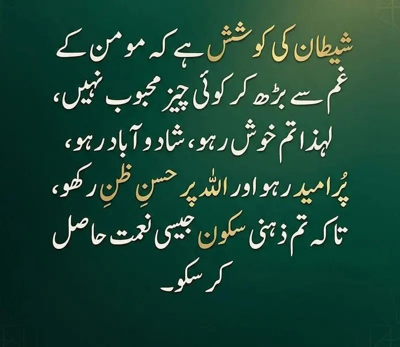 gher ke pale hoe khobssort bakri 03102209916 — photo 6