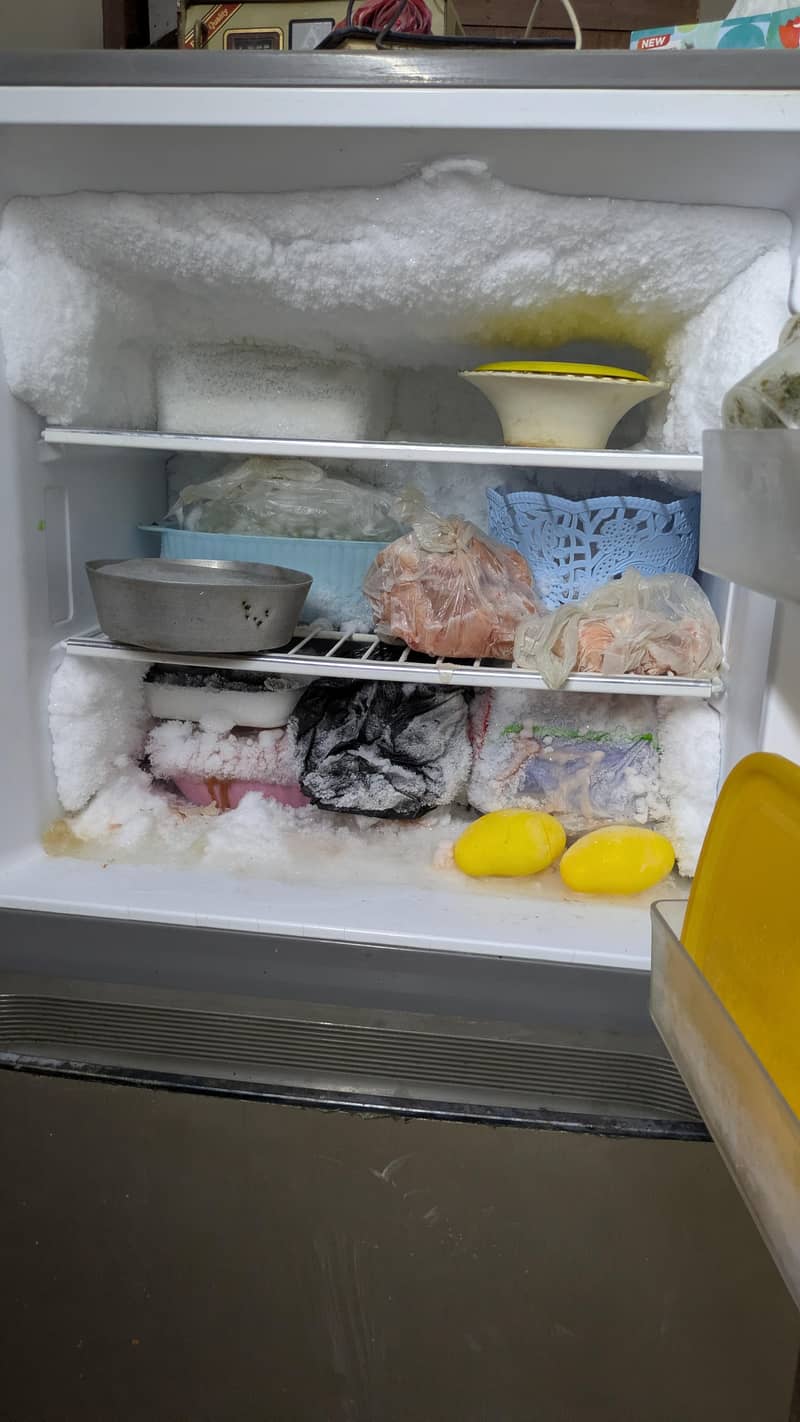 Haier fridge 3