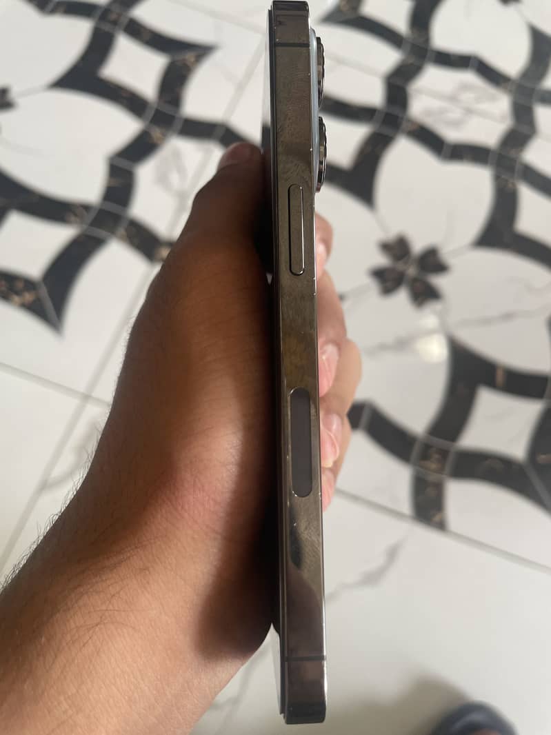 13 pro 1