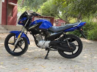 YAMAHA YBR ESD 03313969676