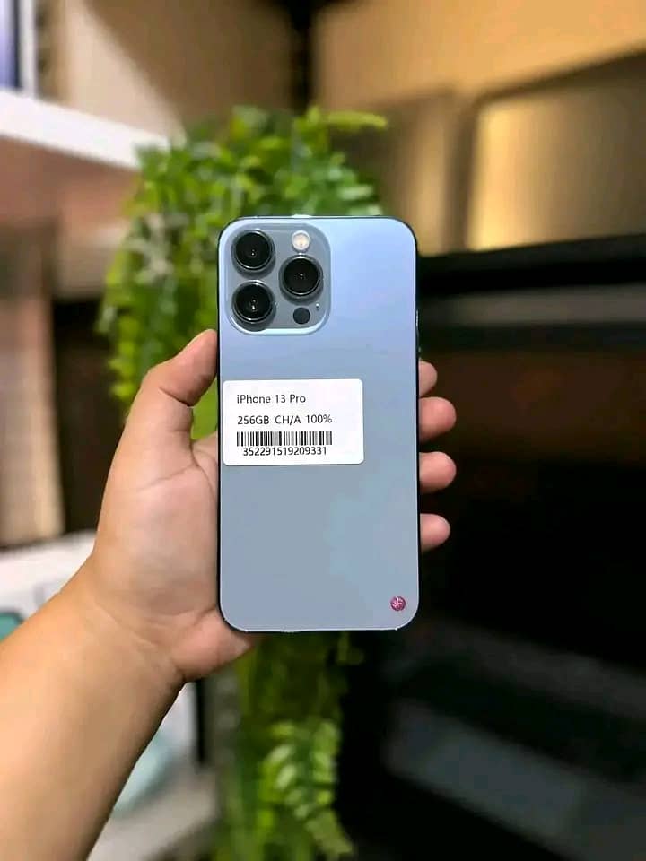 Apple iPhone 13 Pro 1