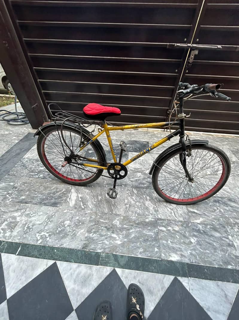 Cycle 0