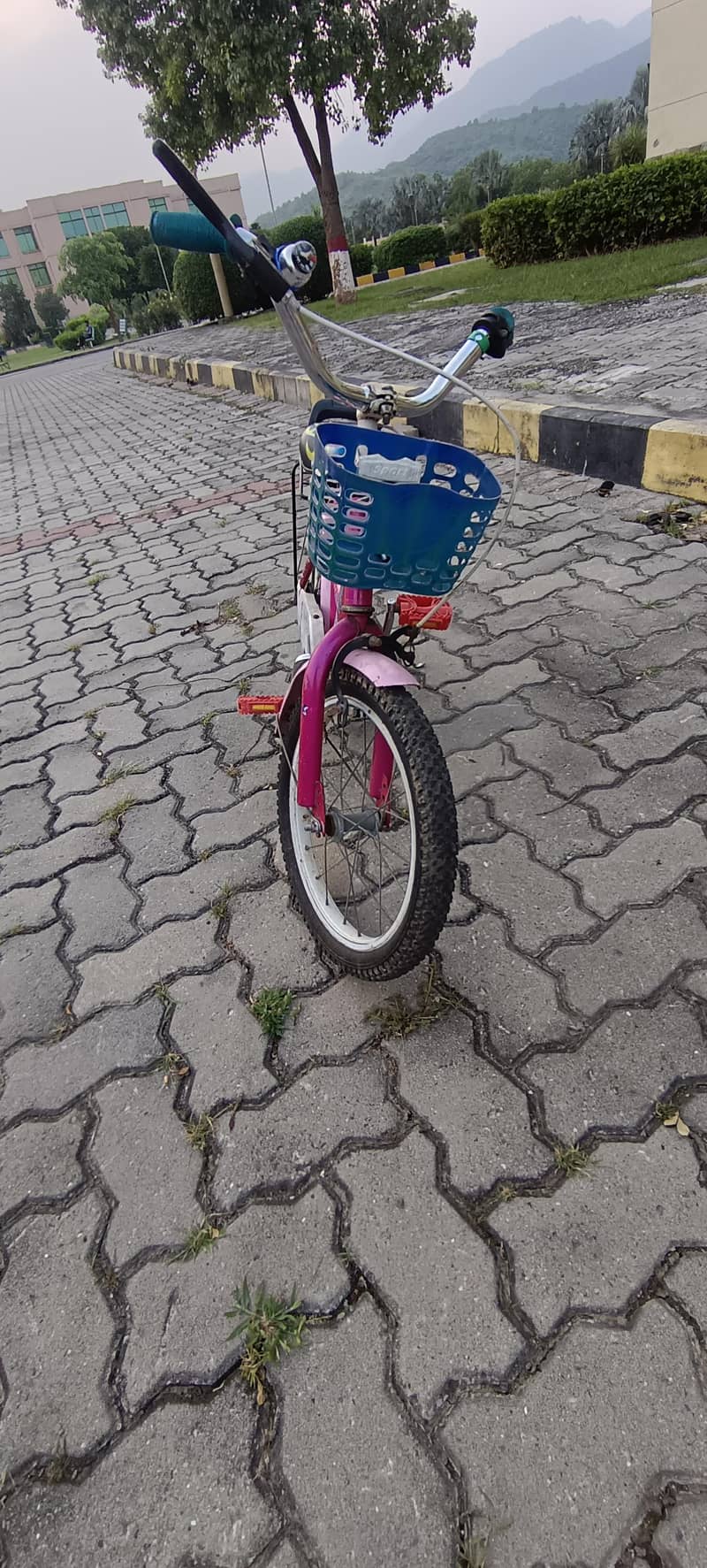 16" cycle 0