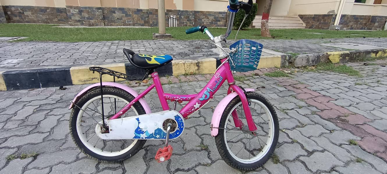 16" cycle 2