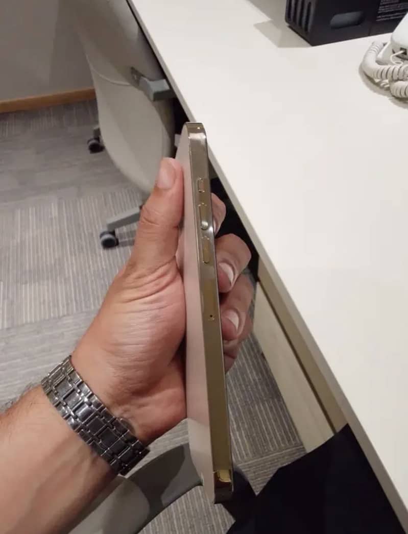 Apple iPhone 13 Pro Max 4