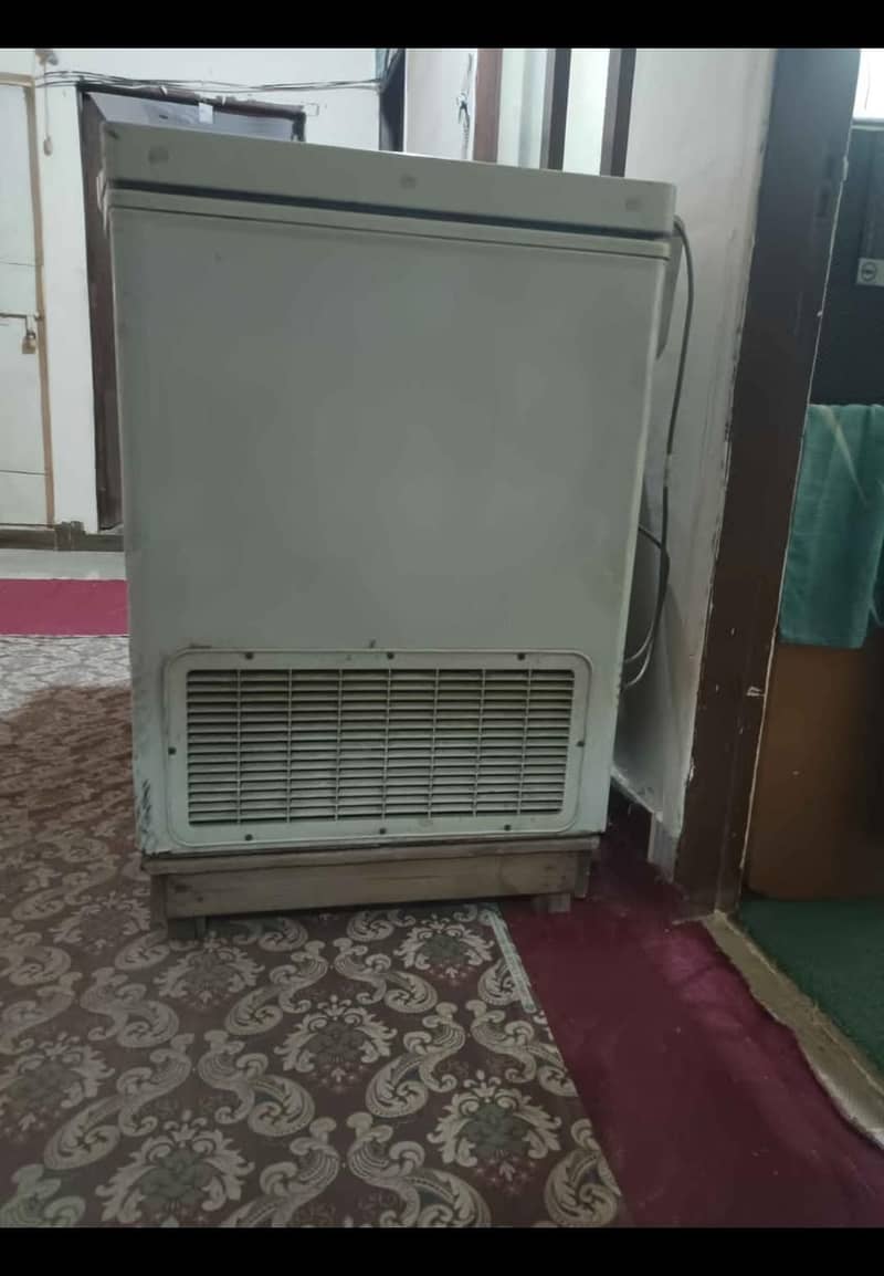 Freezer 1
