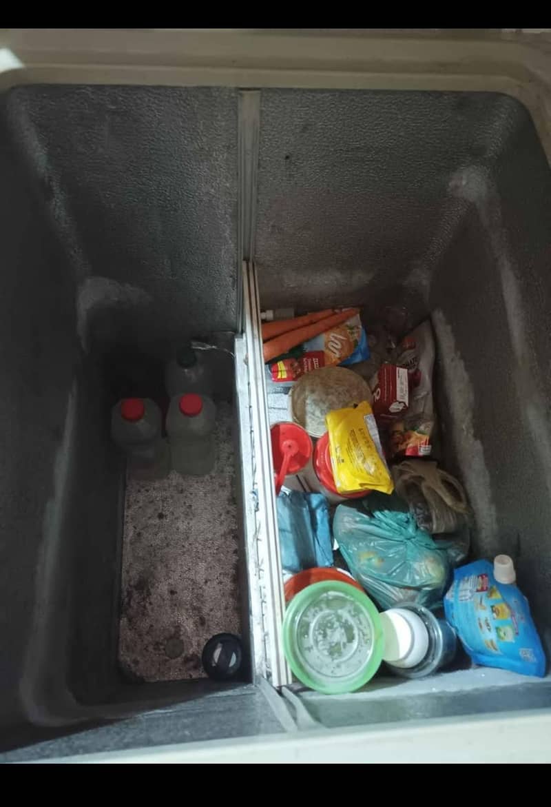 Freezer 3