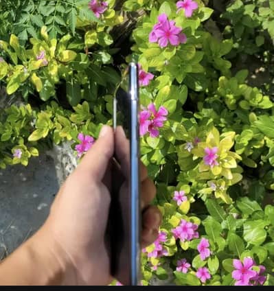 Samsung Mobile Note 10 Plus 12.256