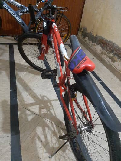 2 bicycles make-2024 road cycle