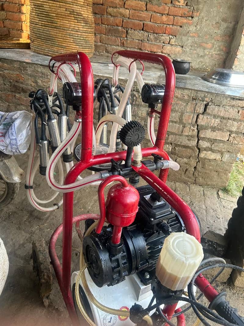 Double Cluster Milking Machine 1