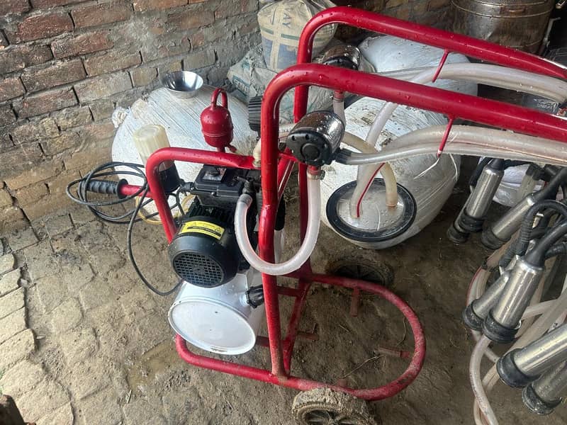 Double Cluster Milking Machine 2