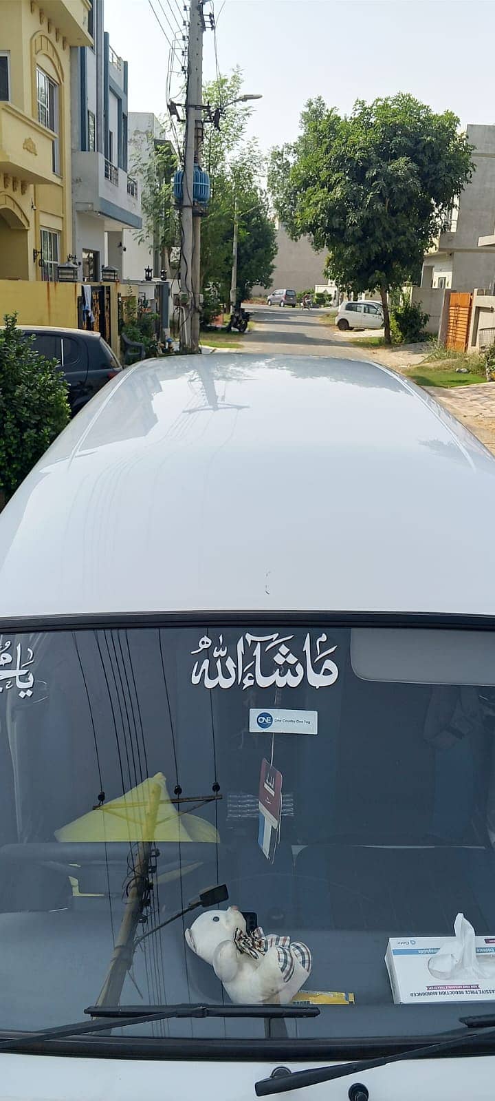 bolan 2024 19