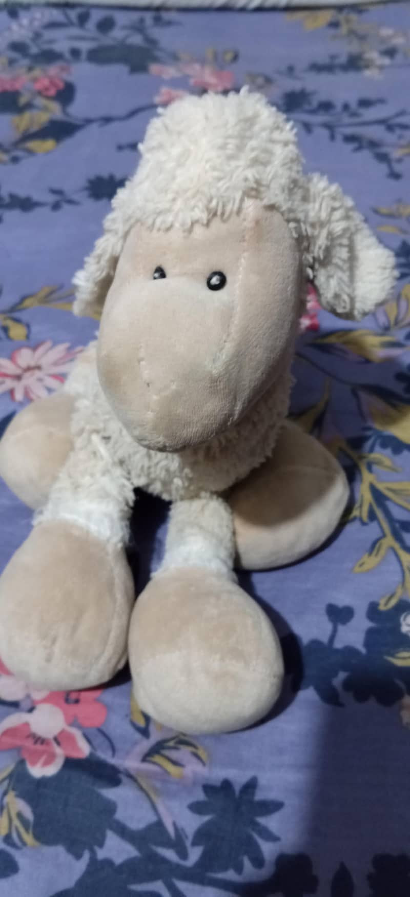 Teddy Bear,s 0