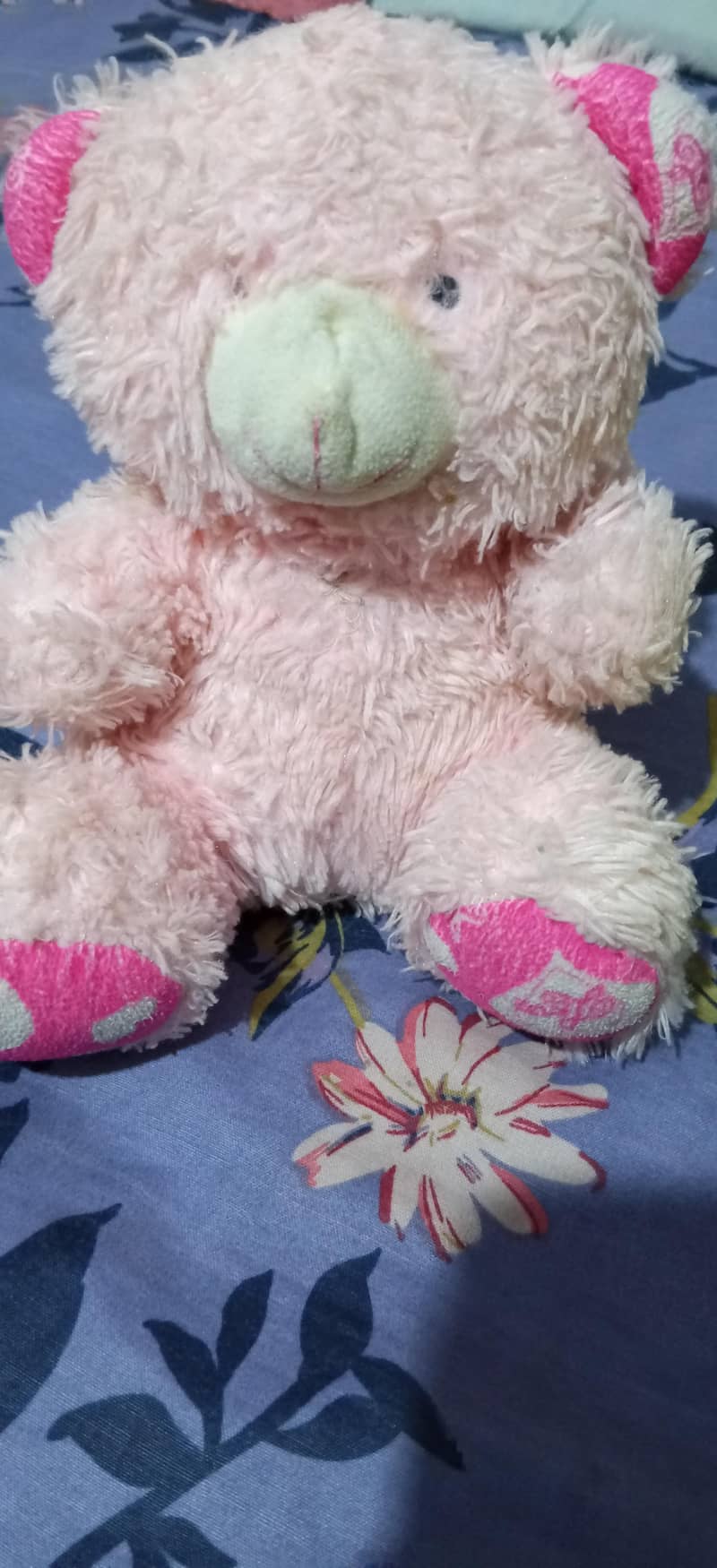 Teddy Bear,s 2