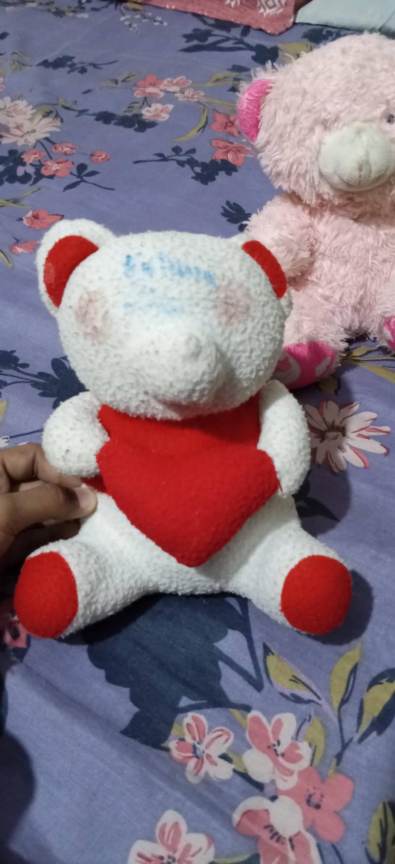 Teddy Bear,s 6