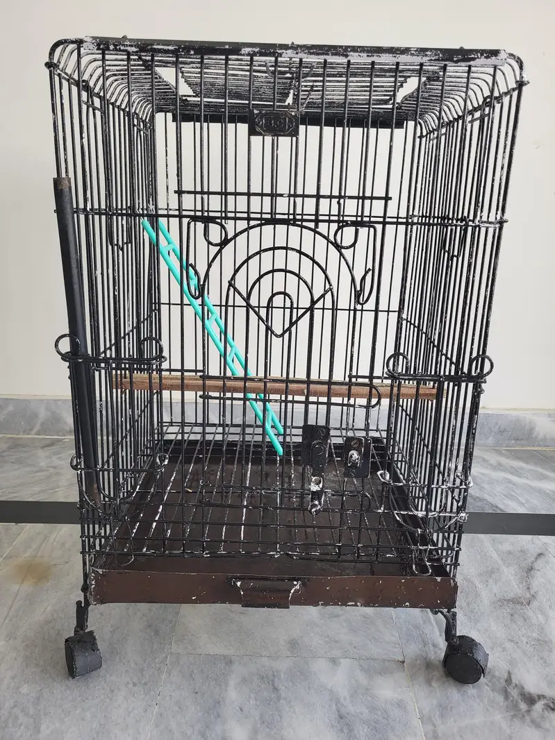 CAGE FOR PARROTS , Parrot Cage for Sale – Good Condition — photo 2
