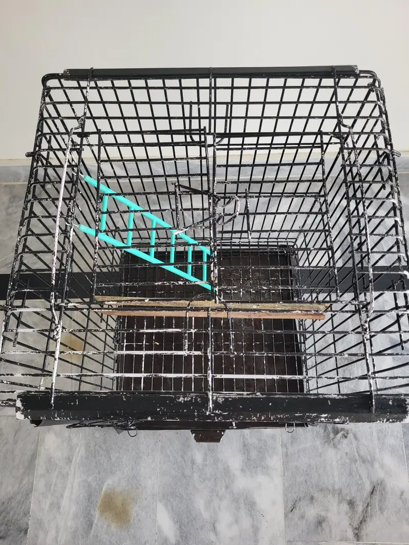 CAGE FOR PARROTS , Parrot Cage for Sale – Good Condition — photo 4