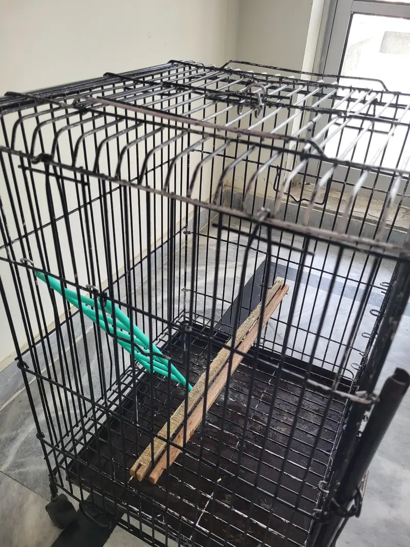CAGE FOR PARROTS , Parrot Cage for Sale – Good Condition — photo 5