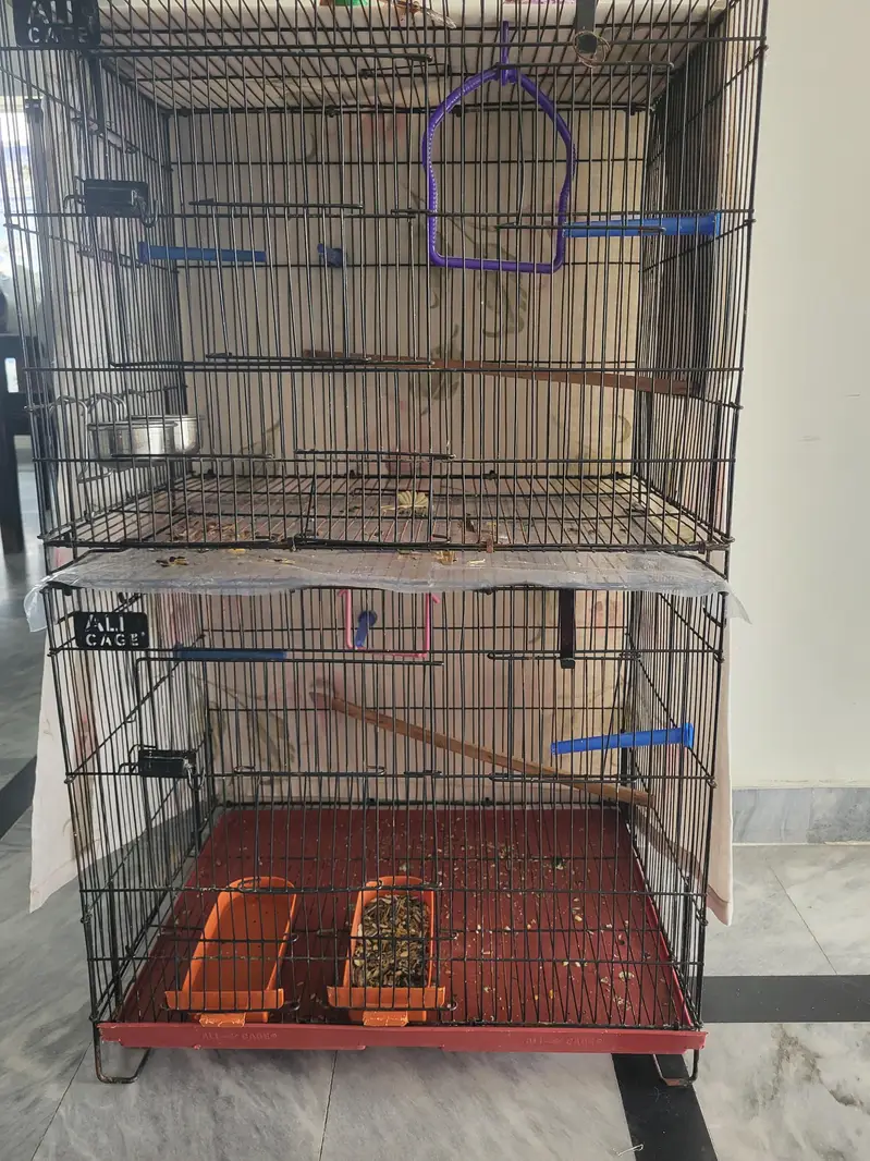 CAGE FOR PARROTS , Parrot Cage for Sale – Good Condition — photo 7