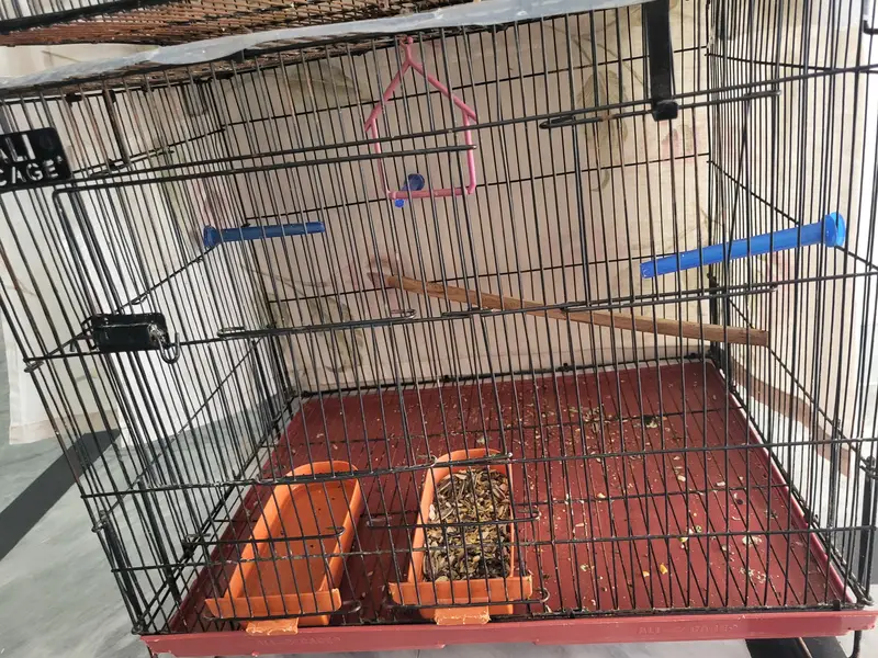 CAGE FOR PARROTS , Parrot Cage for Sale – Good Condition — photo 8