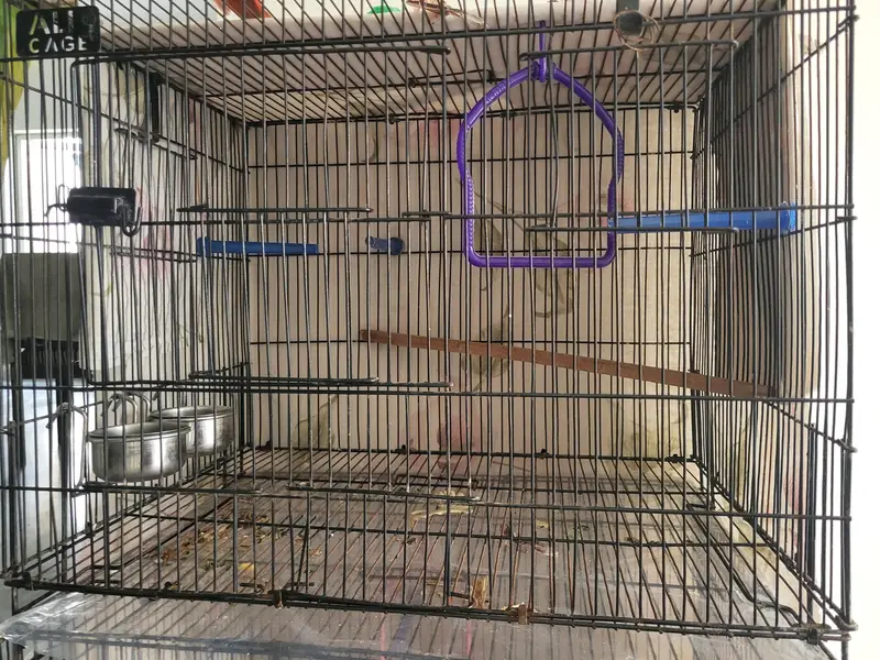 CAGE FOR PARROTS , Parrot Cage for Sale – Good Condition — photo 9