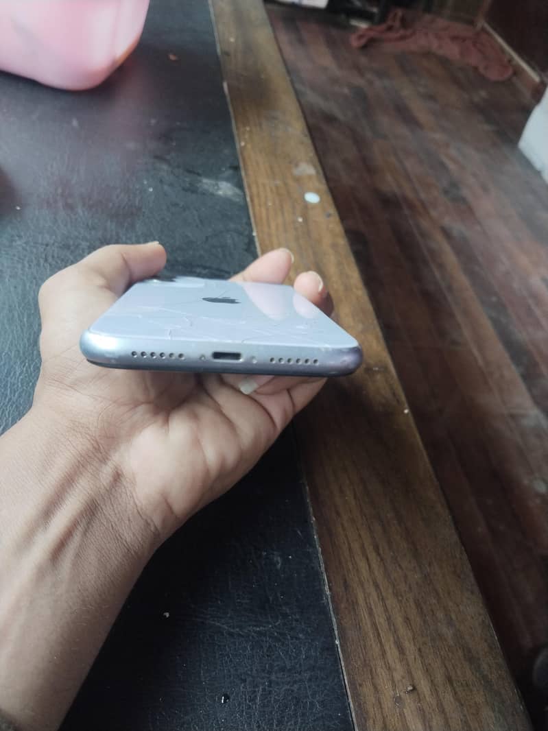 Apple iPhone 11 1