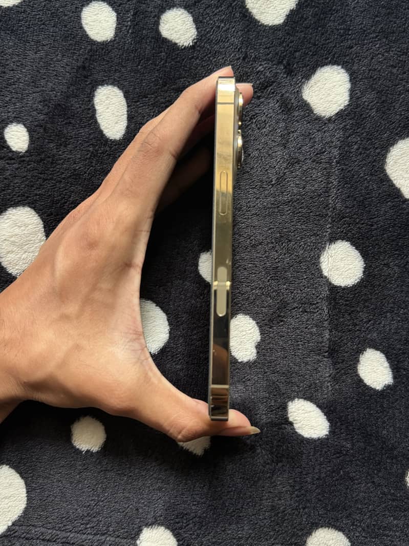 Apple iPhone 13 Pro 0