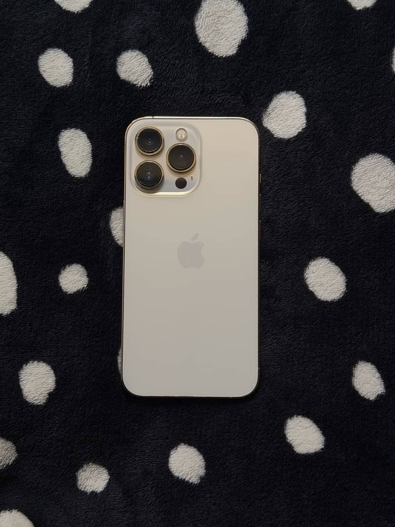 Apple iPhone 13 Pro 1