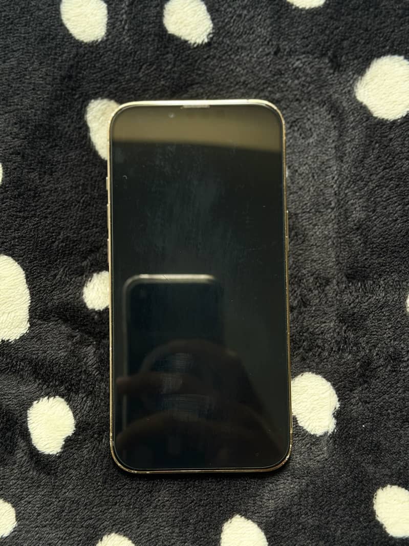 Apple iPhone 13 Pro 2