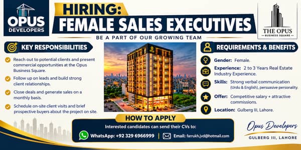 SALES EXECUTIVE