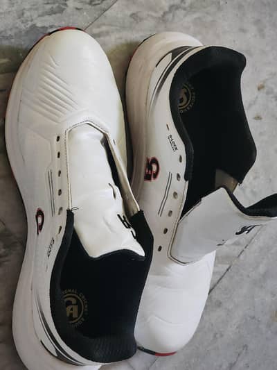 CA pro Boost cricket grippers
