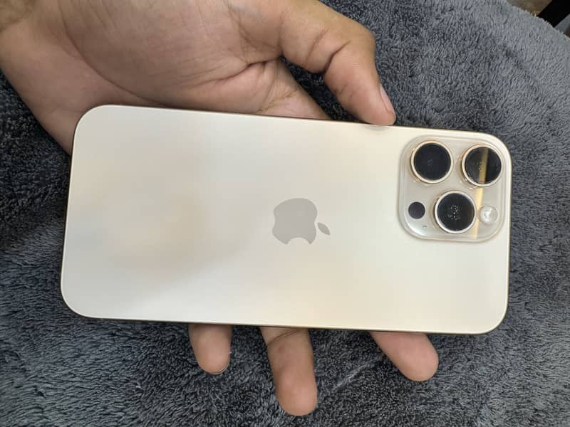 Apple iPhone 16 Pro Max 1