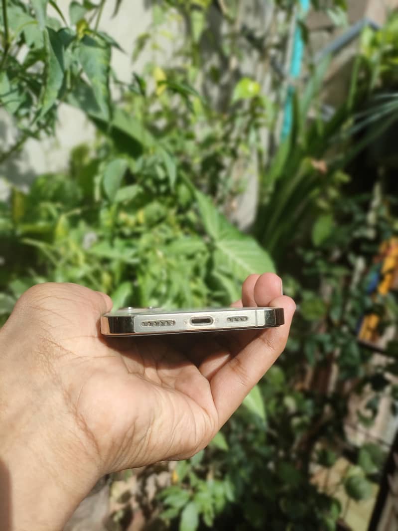 Apple iPhone 12 Pro Max 2