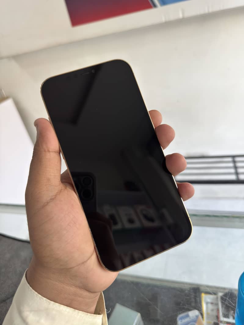 Apple iPhone 12 Pro Max 1
