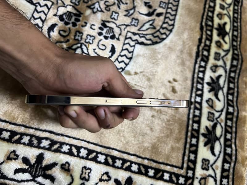 Apple iPhone 12 Pro Max 6