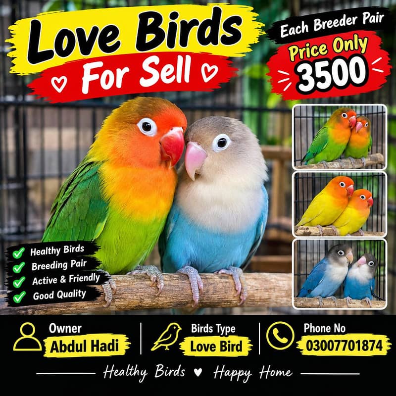 breedar pair 0