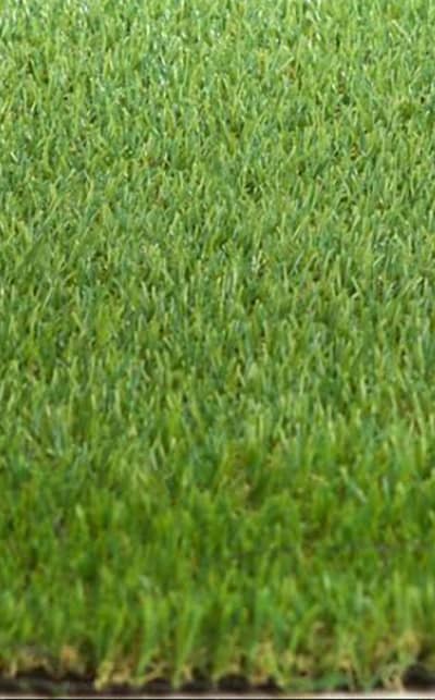 Green carpet